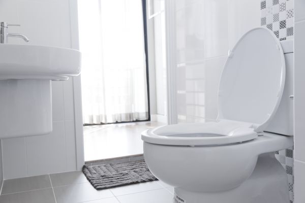 Cost of Toilet Relocation in Hudson